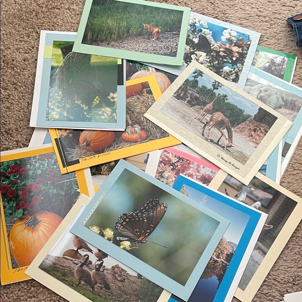 19‎ Handmade Nature Blank Cards